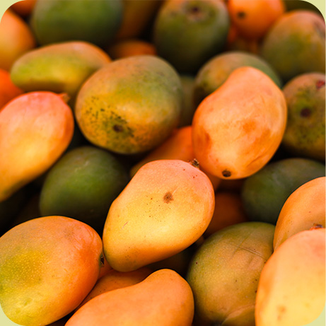 PAPAYA CHiPS